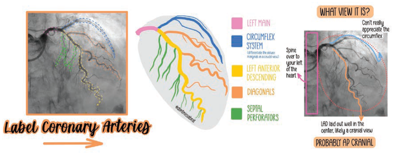 Propper-Figure-CLD-Dec2024