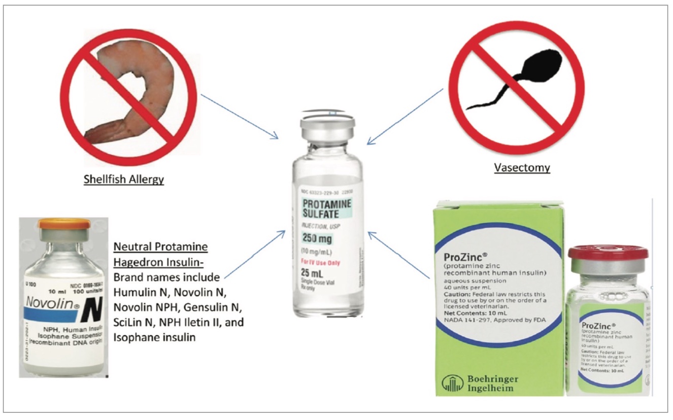 Kern protamine Figure 1