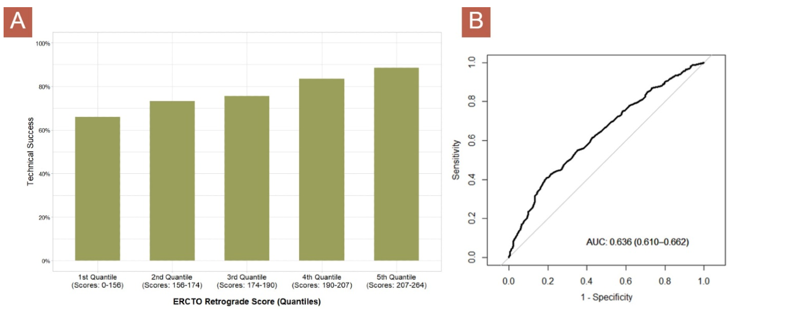 Rempakos PROGRESS-CTO Registry Figure 1
