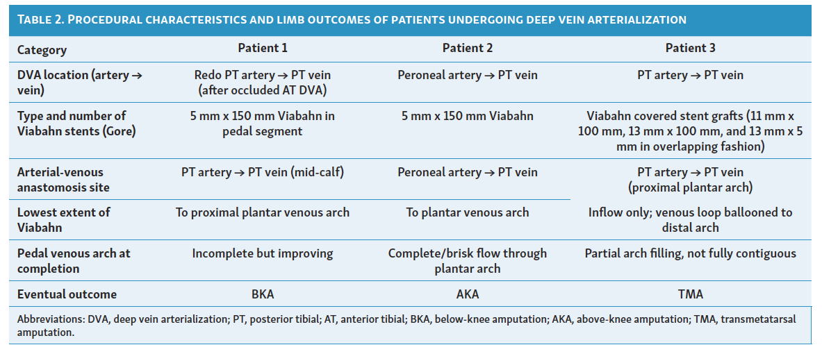 Table 2. Procedural characteristics and limb outcomes of patients undergoing deep vein arterialization