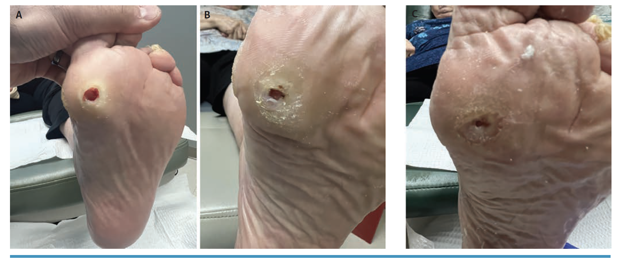 Rupasinghe Fig 2_0 (2).png 