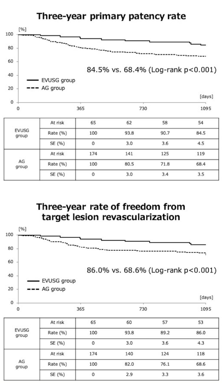 Sakamoto Chronic Total Occlusion Figure 5