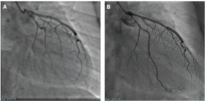 Sala-Cereda - Fig 3 - Aug 2024