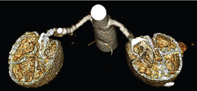 Sala-Cereda - Fig 4 - Aug 2024