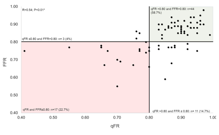 Santos Quantitative Flow Ratio Figure 3