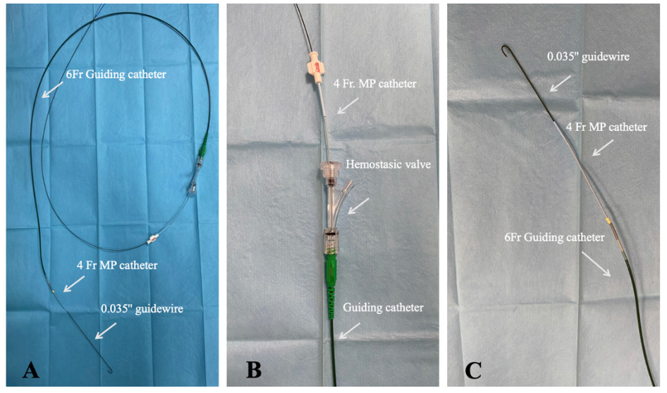 Scoccia MiCAT Figure 2