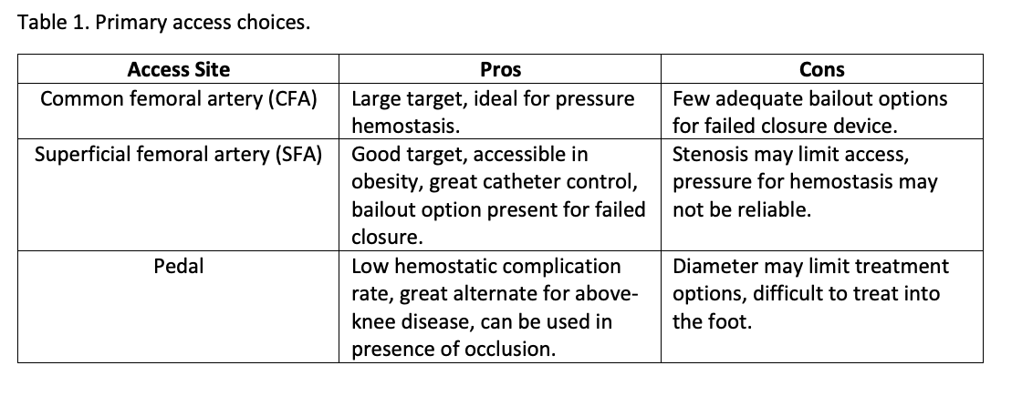 MartinezVDM_AccessTable1