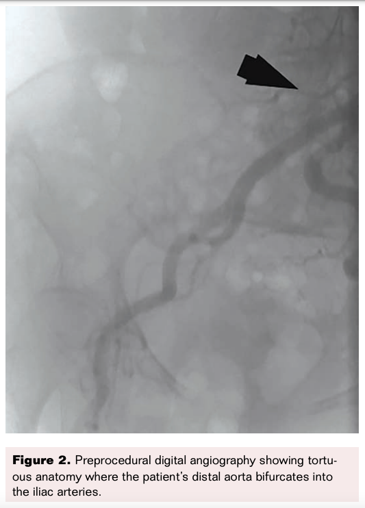 VDM May 2021 Figure 2