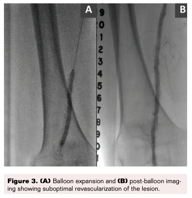 VDM May 2021 Figure 3