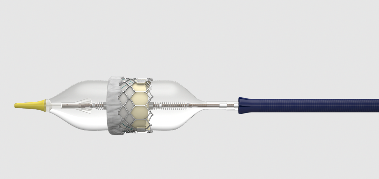 Sapien with Commander delivery system