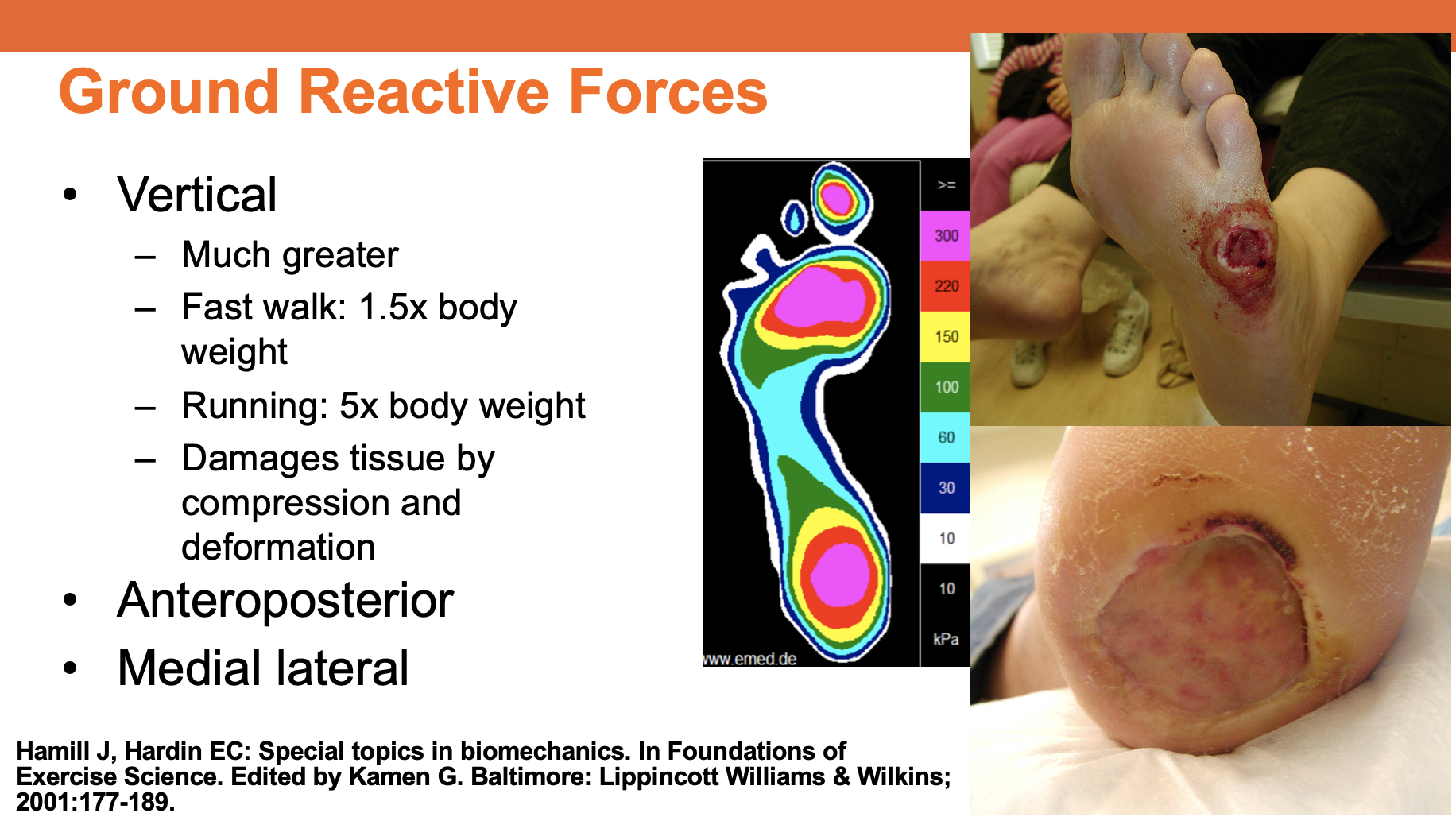 Ground Reaction Forces