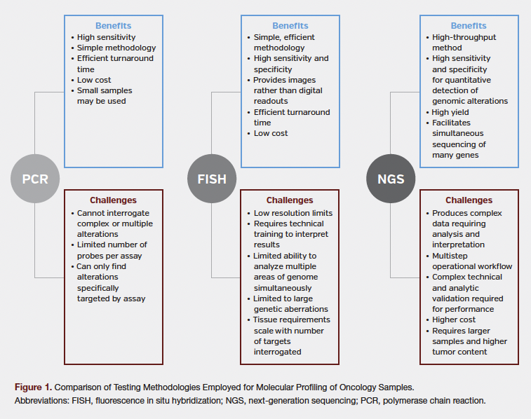 Chart: Comparison of Testing Methodologies Employed for Molecular Profiling of Oncology Samples.