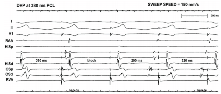 Moulton - June 2024 - Fig 12