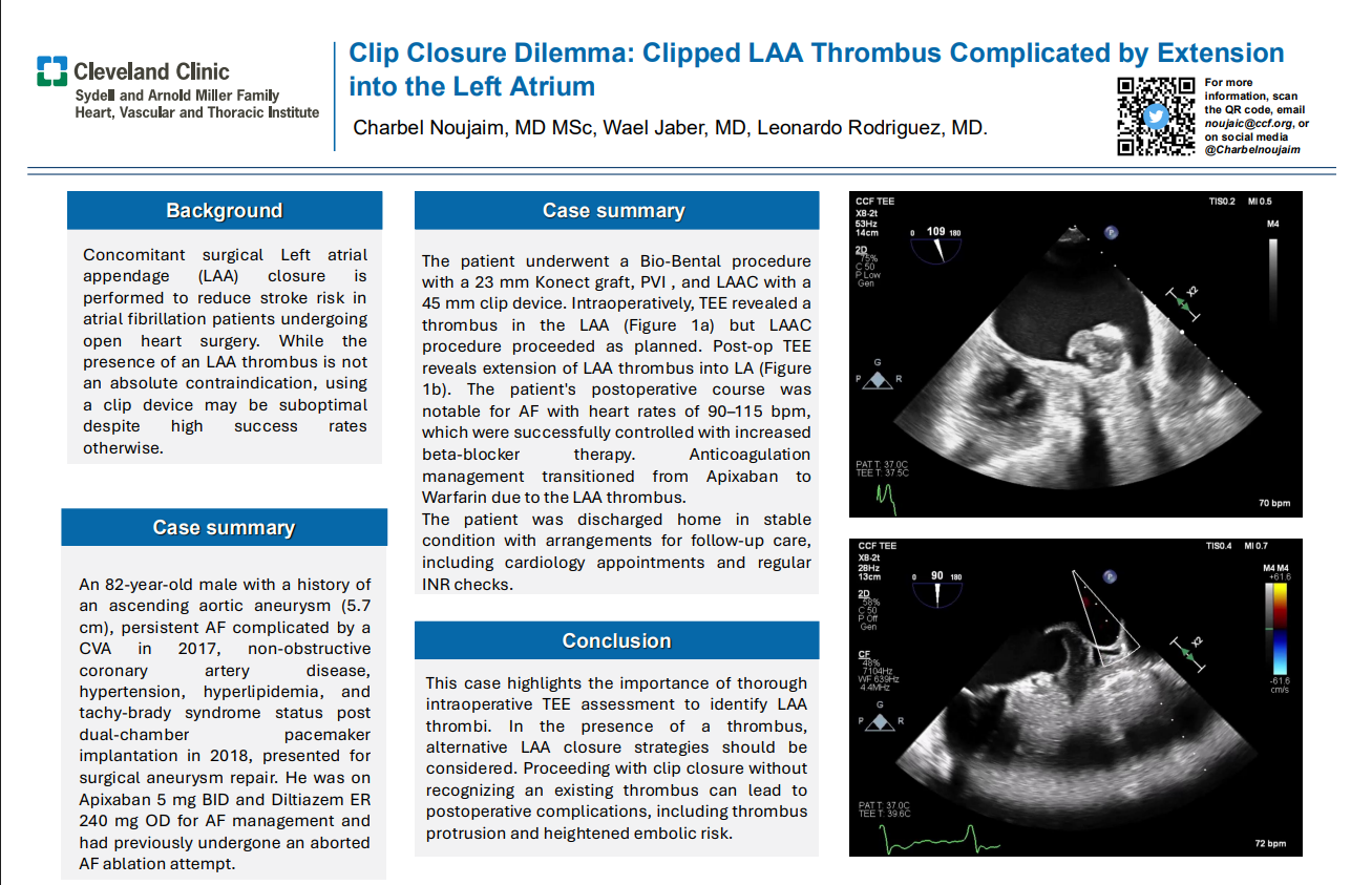 Charbel Noujaim, MD MSc, Wael Jaber, MD, Leonardo Rodriguez, MD.