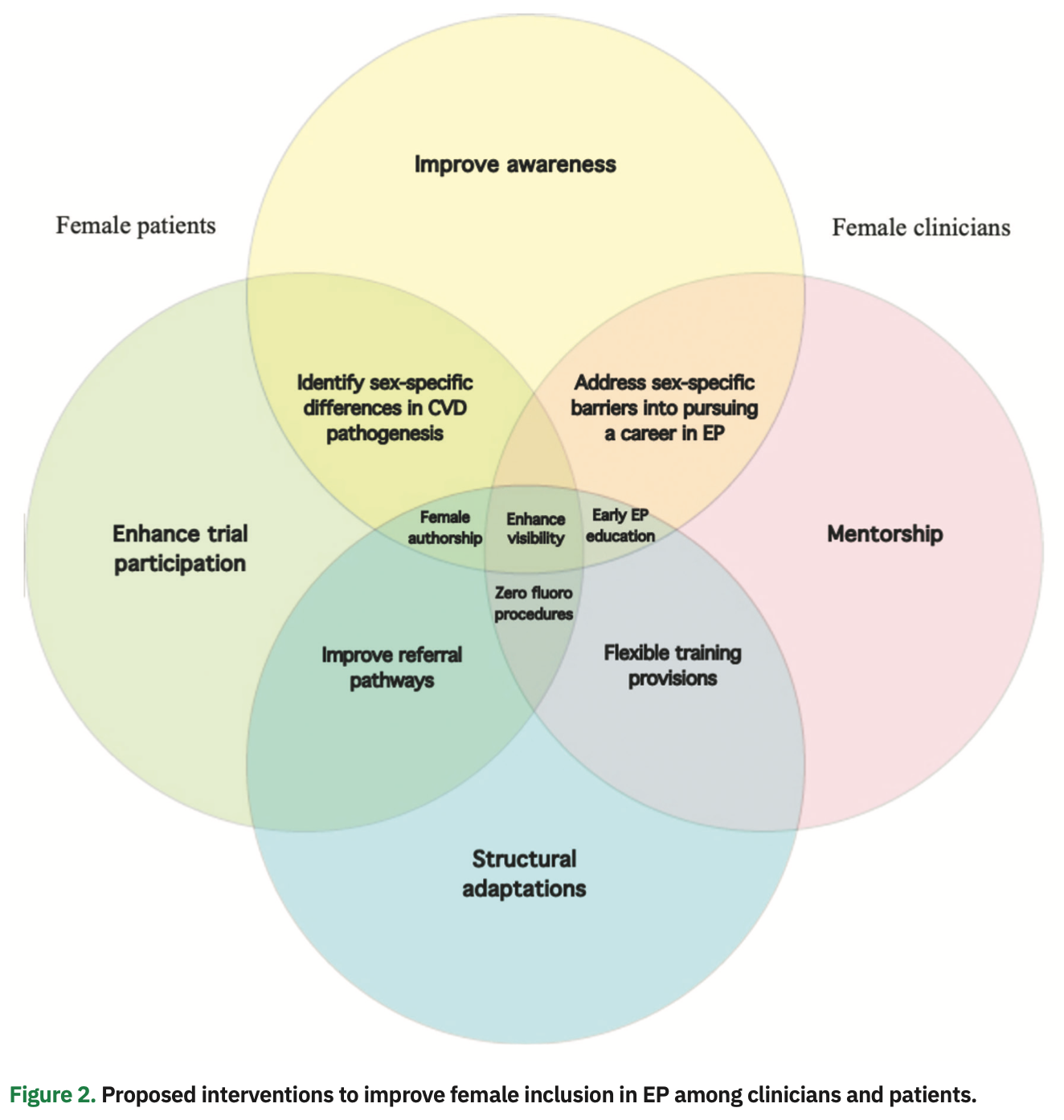 Segan Gender Equity Figure 2
