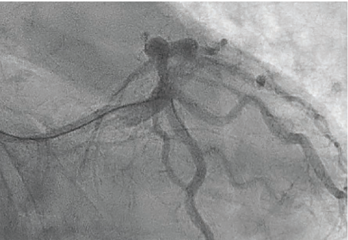 Sengodan - Fig 3 - October 2024