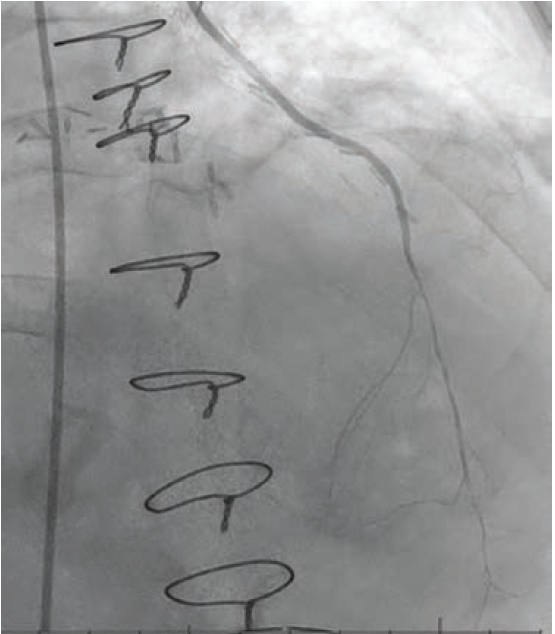 Shah-Fig2-Dec 2025.png 