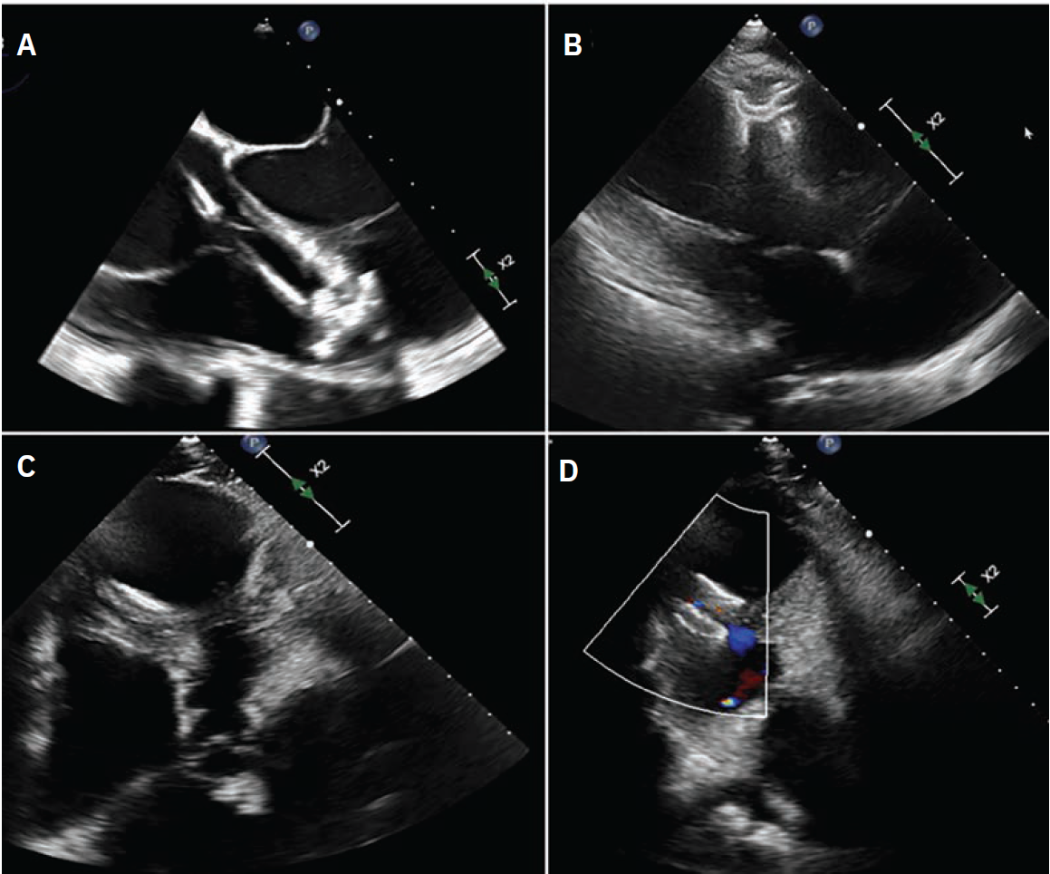 Shah-Fig3-Dec 2025.png 