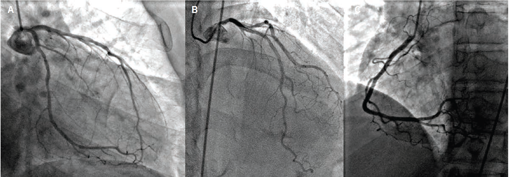 Shah-SFig1-Dec 2025.png 