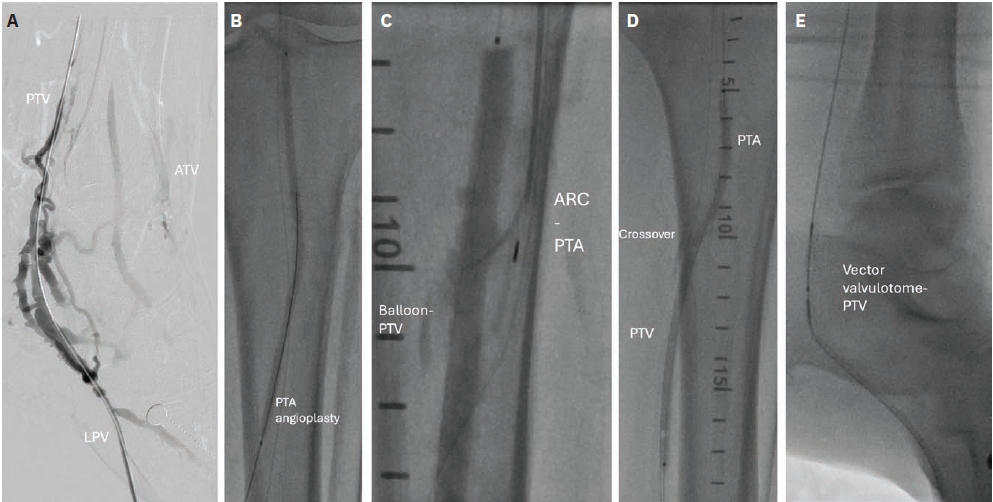 Shishehbor - Fig 3 - Aug 2024