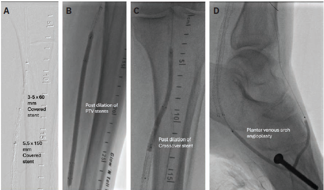 Shishehbor - Fig 4 - Aug 2024
