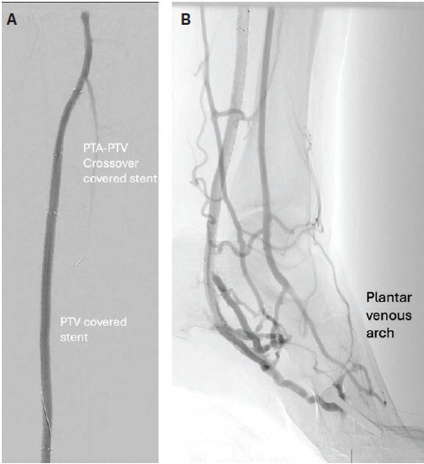 Shishehbor - Fig 5 - Aug 2024