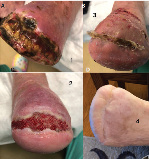 Shishehbor - Fig 6 - Aug 2024