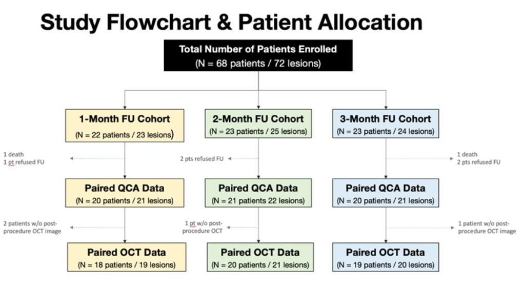 Silva REPAIR Trial Figure 1