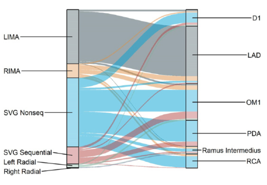 Simsek Coronary Artery Bypass Graft Figure 1