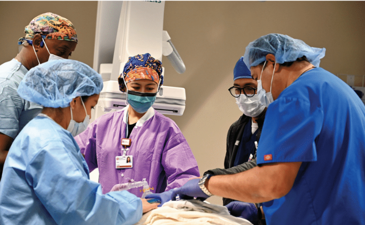 Spotlight Fig 4 Dec 2024 