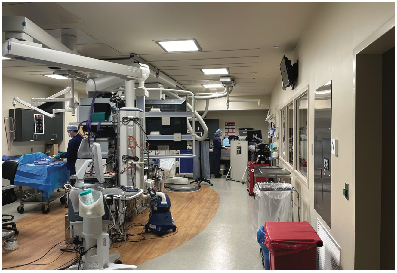 Spotlight International Heart Institute Figure 2