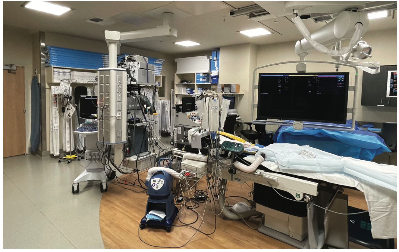 Spotlight International Heart Institute Figure 7
