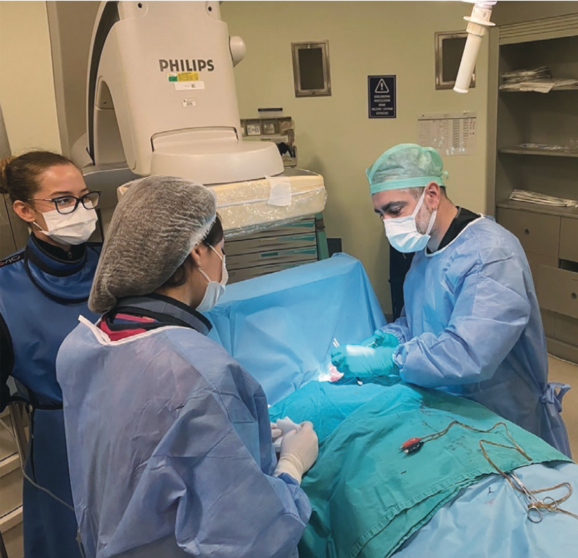 Spotlight Yeditepe University Figure 2