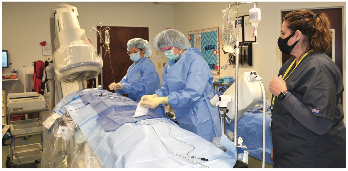 Spotlight on Education Sentara College Figure 1