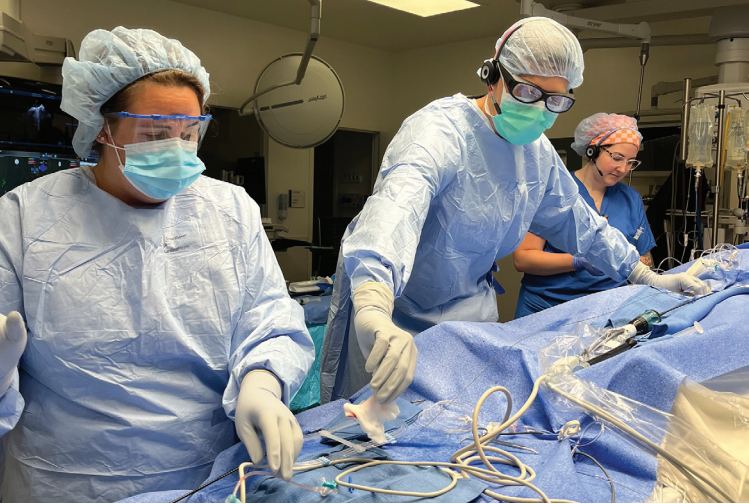 Spotlight-Fig12-Aug 2025.png  Alternative text