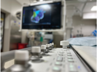 Spotlight - March 2025 - Fig 4