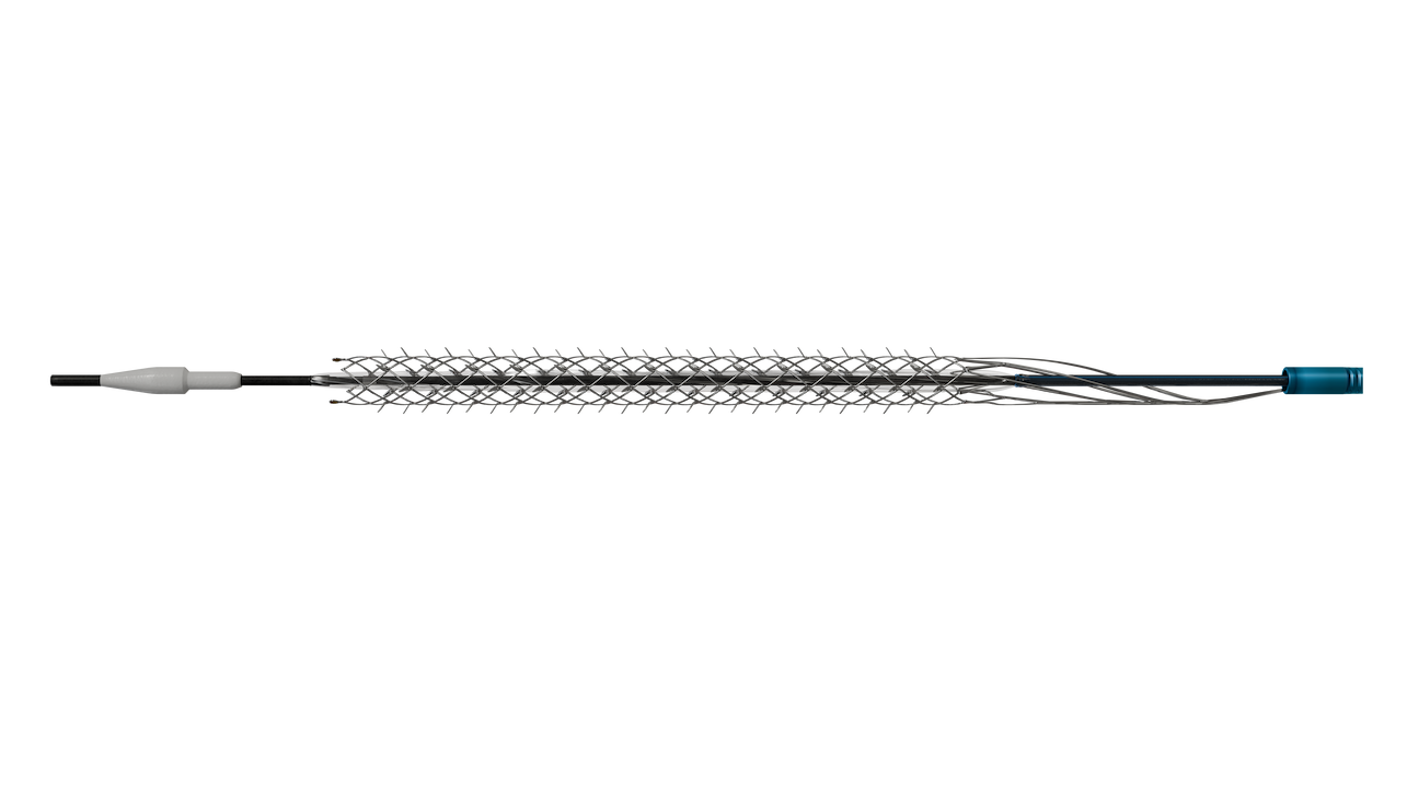 Reflow Medical Spur System