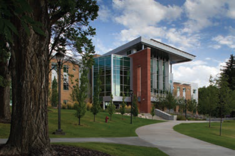 Steelman-Fig1-CLD-Aug 2025.png 