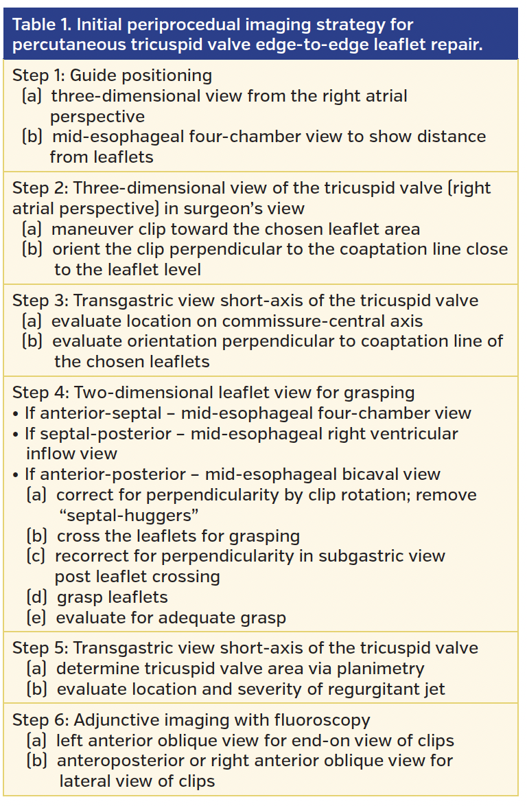 Table 1. Initial periprocedual imaging.png