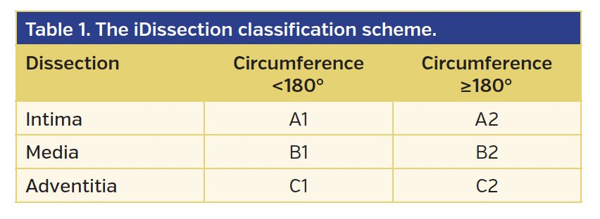Table 1. The iDissection classification scheme.