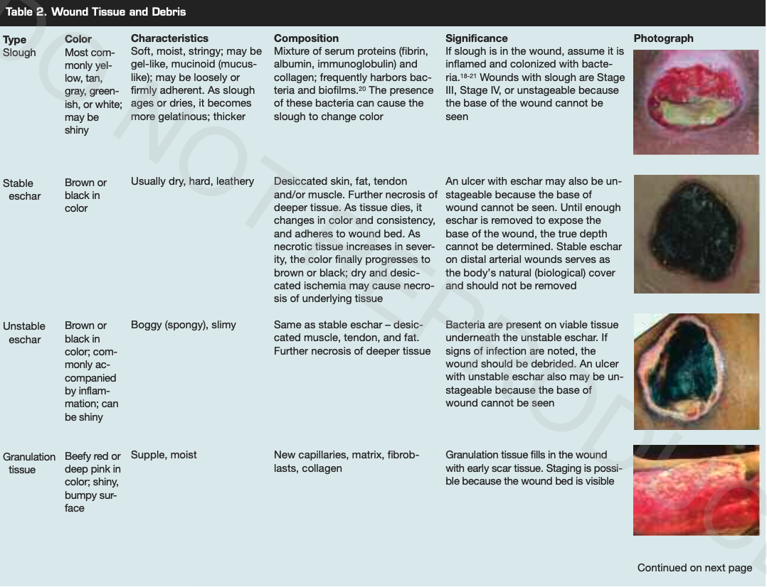 Table 2 Wound Tissue and Debris Type Slough
