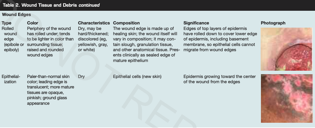 Table 2 Wound Tissue and Debris continued