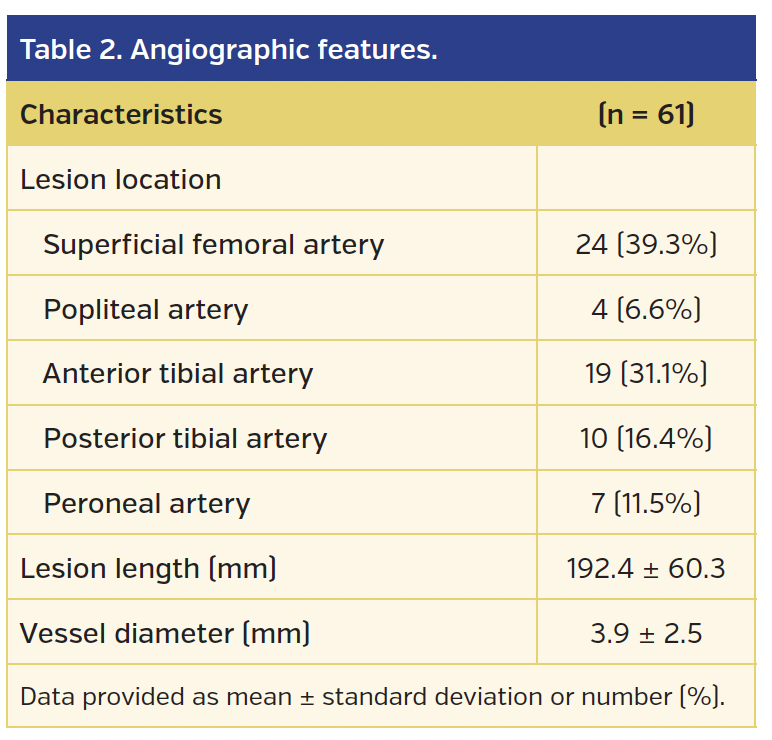 Table 2. Angiographic features..png