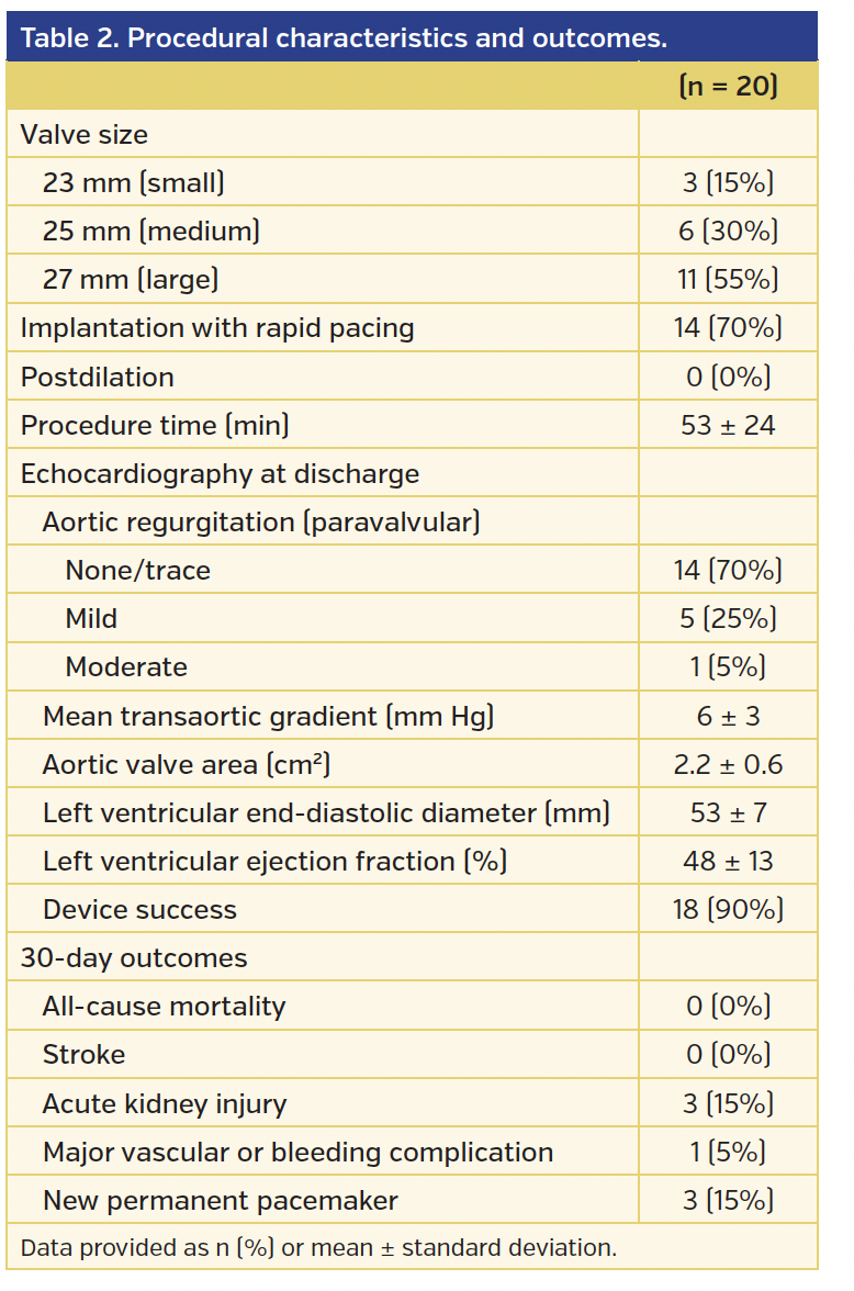 Table 2. Procedural characteristics and outcomes. (n