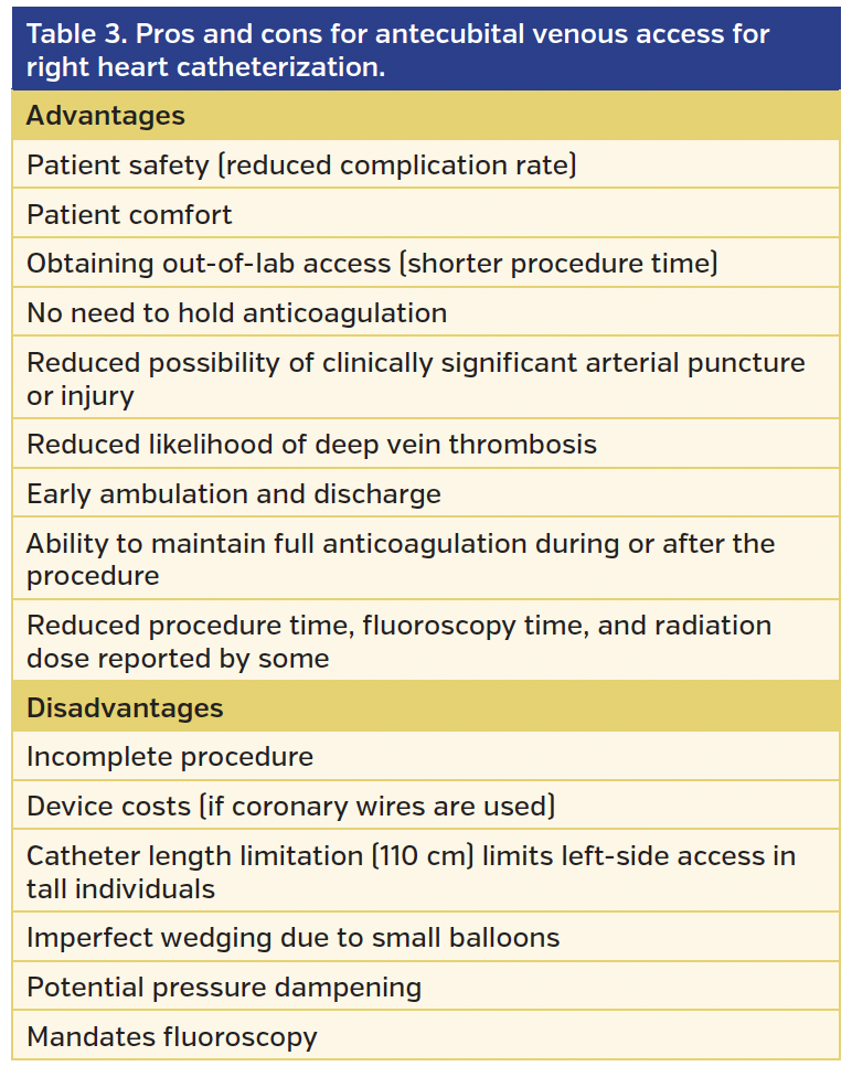 Table 3. Pros and cons.png