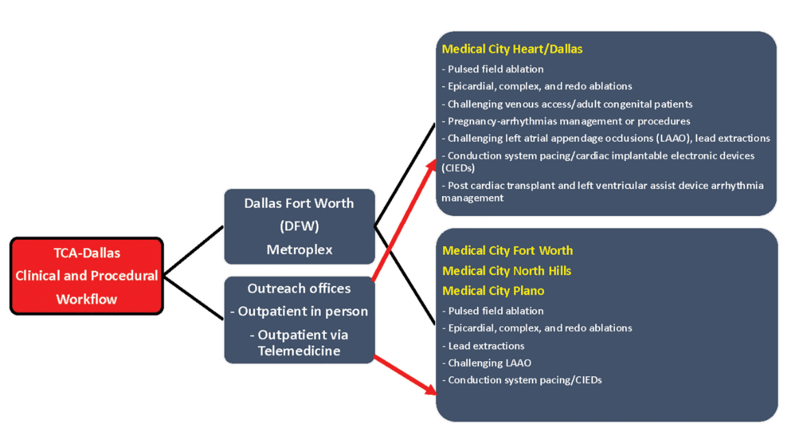 Tamirisa Fig 2 Dec 2024 