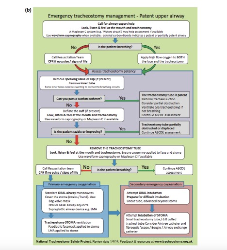 Trachotomy management