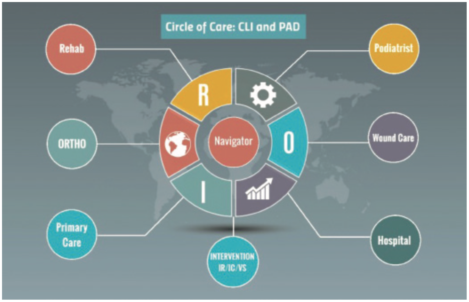 TerumoBusinessEdge CLI Figure 2