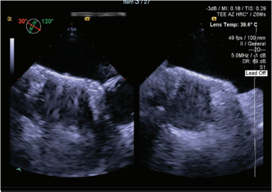 Thihalolipavan Fig 3 Dec 2024 