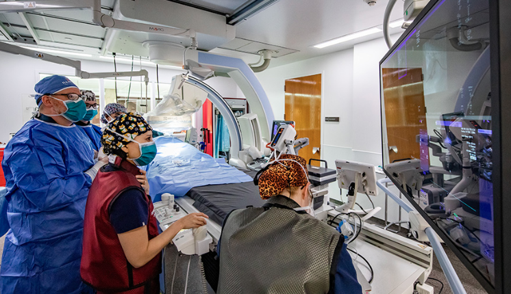 Veterinary Interventional Lab